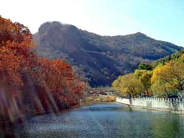 新澳天天开奖资料大全旅游团，鸿蒙大道